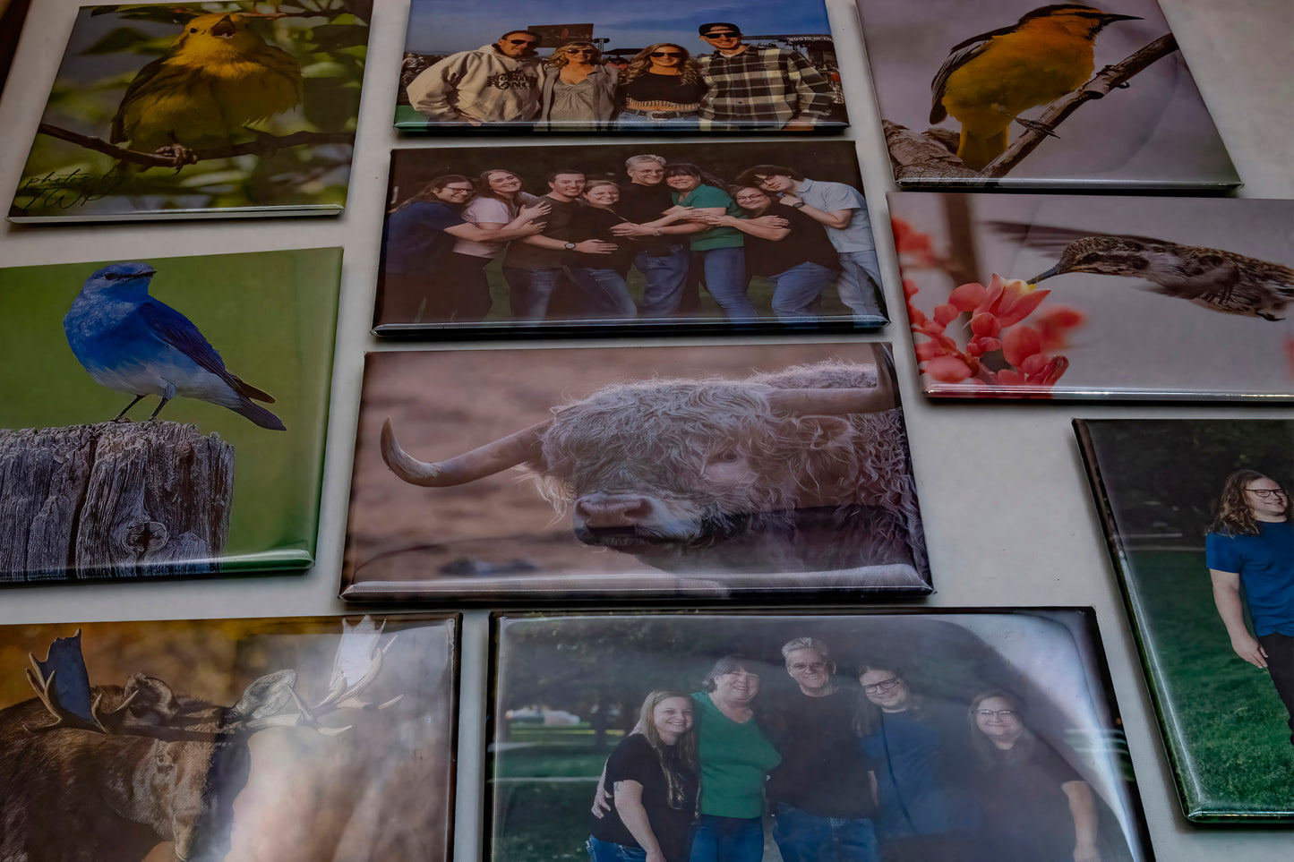 array of photo magnets