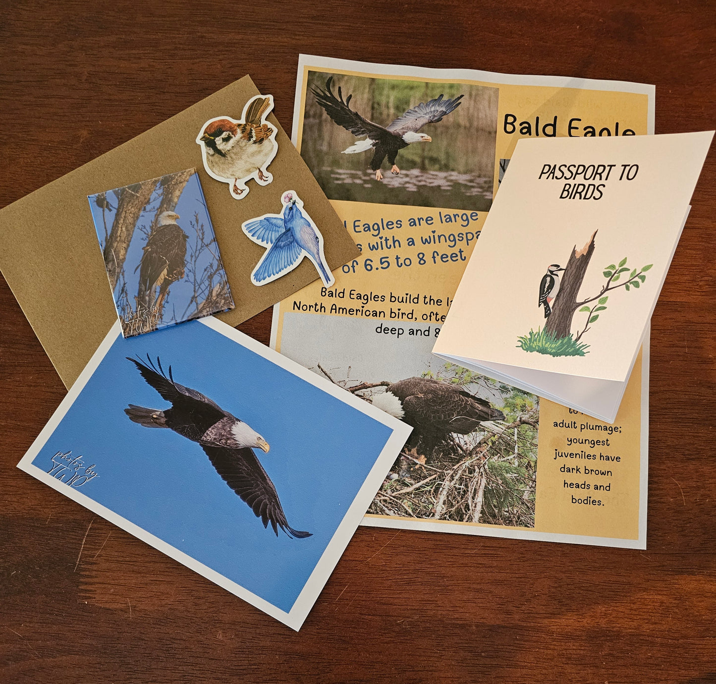 Bird Mags Club - Raptors