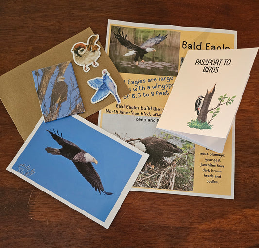 Bird Mags Club - Raptors