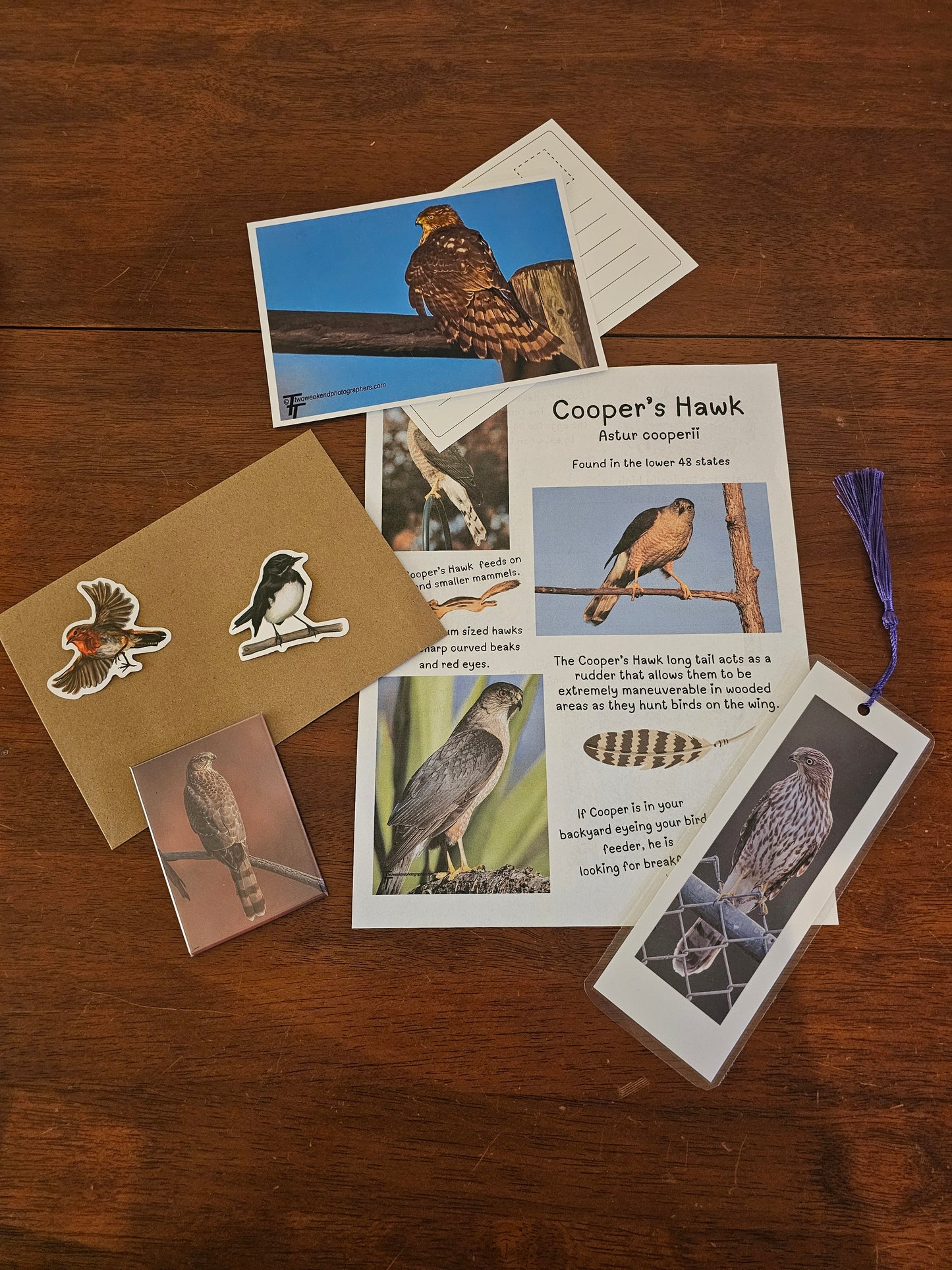Bird Mags Club - Birds of Prey