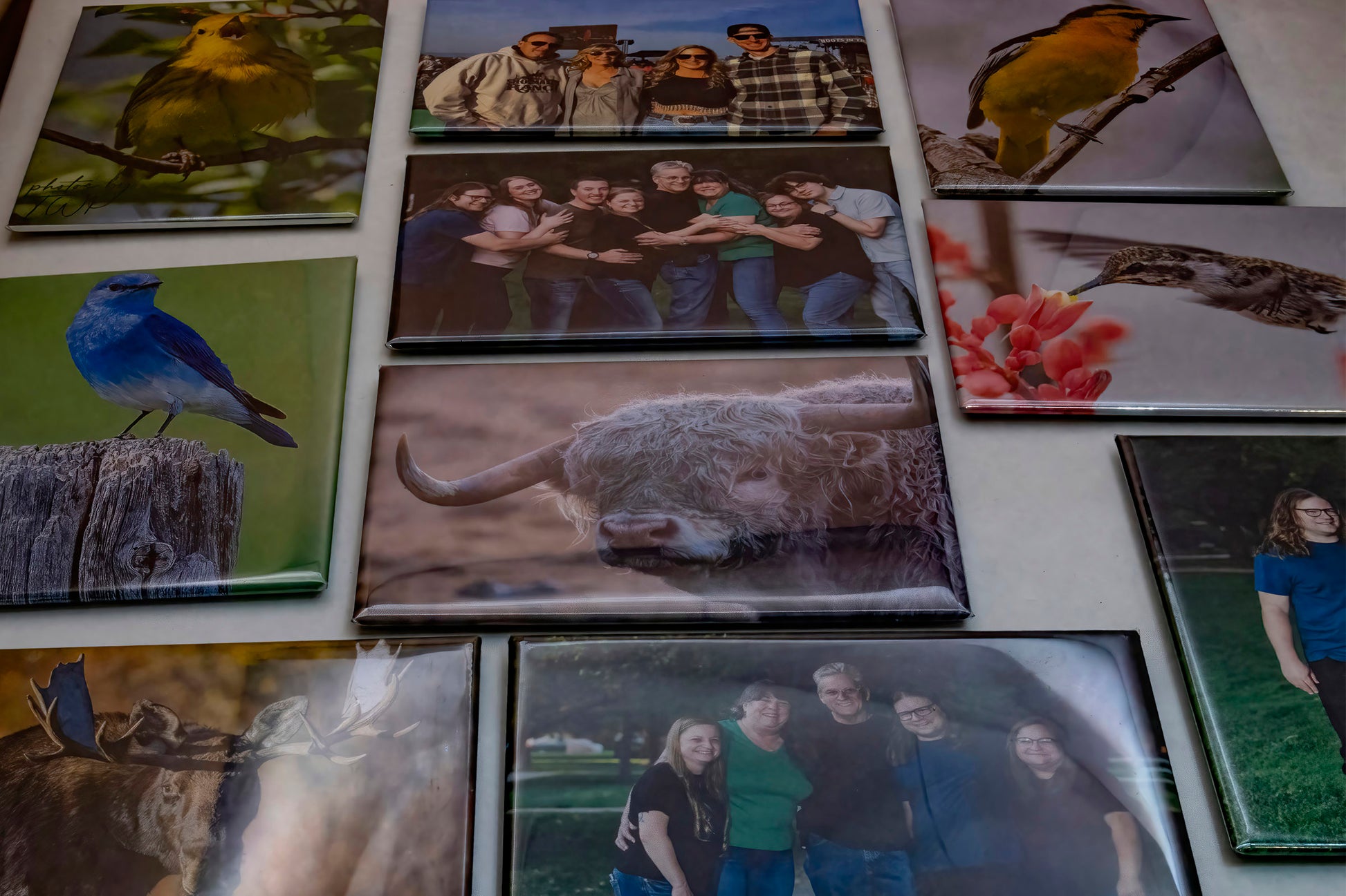 array of photo magnets